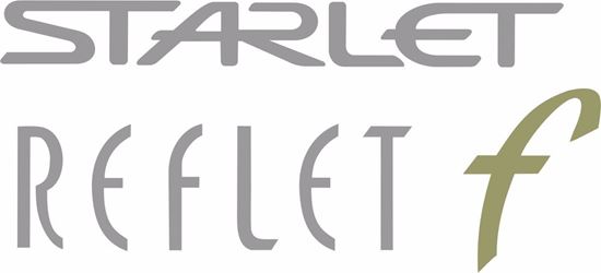 Picture of Starlet Reflet F replacement hatch / tailgate Decal / Sticker