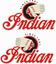 Picture of Indian Motorcycle Tank /  Panel Decals / Stickers