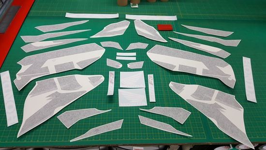 Picture of Honda CBR 600 F3 1995 - 1998 replacement graphics / Stickers (Black, Silver, White & Red)
