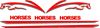 Picture of 3.5 ton Horsebox Racing horse Stripes / Stickers TWO COLOUR