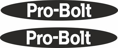 Picture of "Pro-Bolt" Track and street race sponsor logo