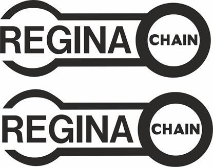 Picture of "Regina Chain" Track and street race sponsor logo