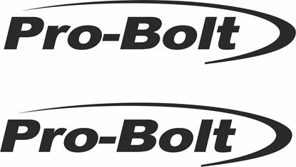 Picture of "Pro Bolt" Track and street race sponsor logo