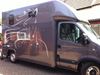 Picture of 3.5 ton Horse Box Horses head  Stickers