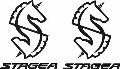 Picture of Nissan Stagea Decals / Stickers