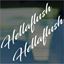 Picture of JDM "Hellaflush"  Glass / Panel Decals / Stickers