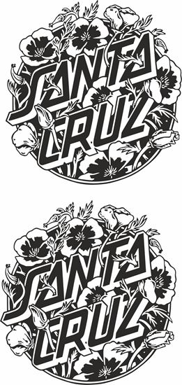 Picture of "Santa Cruz"  general panel  Decal /Sticker