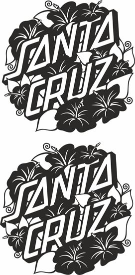 Picture of "Santa Cruz"  general panel  Decal /Sticker