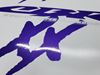 Picture of Honda CBR Super Blackbird 2002 - 2004 full replacement  Decals / Stickers