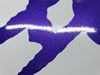 Picture of Honda CBR Super Blackbird 2002 - 2004 full replacement  Decals / Stickers