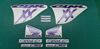 Picture of Honda CBR Super Blackbird 2002 - 2004 full replacement  Decals / Stickers
