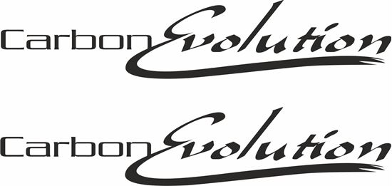 Picture of Carbon Evolution Decals / Stickers