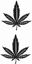 Picture of Cannabis Leaf Decals /Stickers