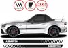 Picture of 124 Spider Abarth  side stripes  / Stickers