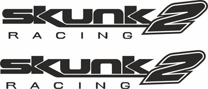 Picture of Skunk Racing 2 Decals / Stickers