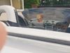 Picture of 981 Spyder Plexi Glass Decal