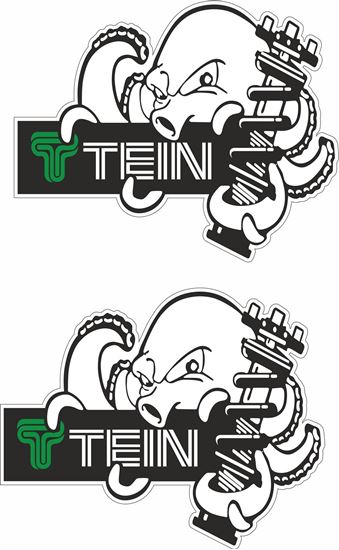 Picture of Tein Decals / Stickers