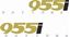 Picture of Triumph Daytona 955i 2000 replacement Decals / Stickers