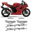 Picture of Triumph Daytona 650 2005 replacement Decals / Stickers