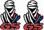 Picture of BMW Dakar GS  Decals / Stickers