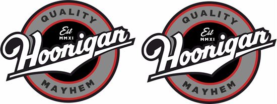 Picture of Hoonigan Decals / Stickers