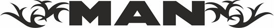 Picture of MAN windscreen / Panel  Decal / Sticker