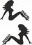 Picture of Iveco Woman Panel Decals / Stickers