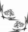 Picture of Scania Griffin corner glass Decals / Stickers
