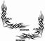 Picture of Scania  corner glass Decals / Stickers