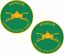 Picture of Armour United States Army Stickers