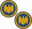Picture of Department of the Army Air Force Stickers