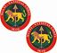 Picture of Multi nation Corps Iraq Stickers