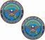 Picture of United States of America Department of Defense Stickers