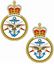Picture of Armed Forces, Combined Services Stickers