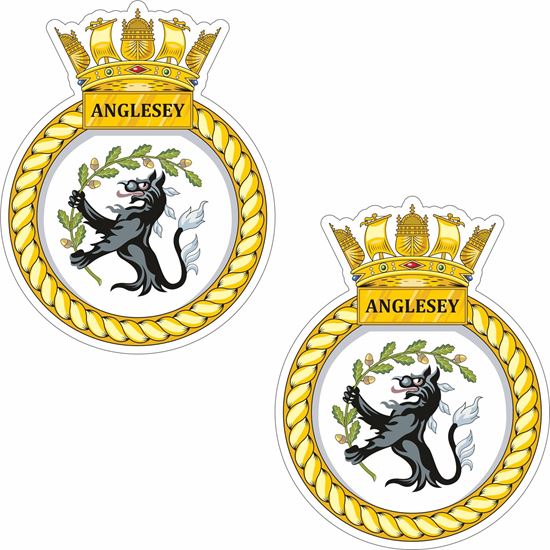 Picture of HMS Anglesey (P277) Stickers