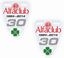 Picture of Alfa Club Wing Decals / Stickers