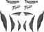 Picture of Triumph Tiger 955i Decals / Stickers