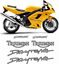 Picture of Triumph Daytona 955i 2005 replacement Decals / Stickers