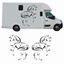 Picture of Horsebox side panel Decals / Stickers