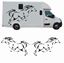 Picture of Horsebox side panel Decals / Stickers