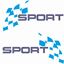 Picture of Ford Transit Custom Sport Decals / Stickers
