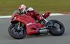 Picture of Ducati Performance Decals / Stickers