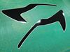 Picture of Ford Focus MK2  Face lift  ST / RS Headlight pre cut Brow Vinyl overlays
