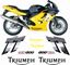 Picture of Triumph TT 600 2000 -2003 replacement  Decals / Stickers