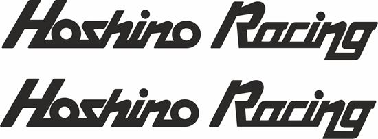 Picture of Hoshino Racing Decals / Stickers