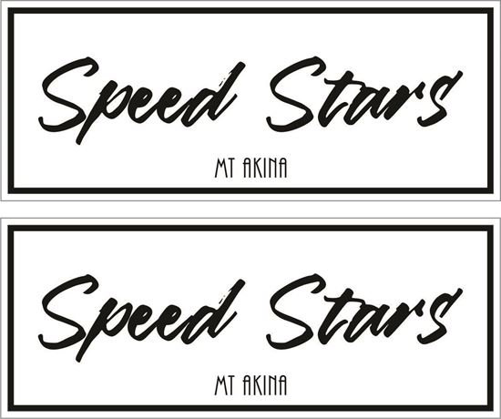 Picture of Speed Stars Decals / Stickers