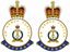 Picture of HM Royal Pioneers Veteran Stickers