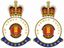 Picture of HM Royal Engineer Bomb Disposal Veteran Stickers