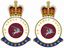 Picture of HM Para/16 Air Assault Brigade Veteran Stickers