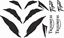 Picture of Triumph Tiger 955i Decals / Stickers